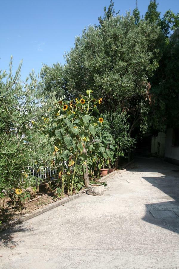 Sunflower Split Exterior foto